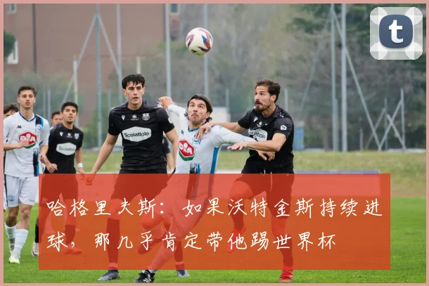 哈格里夫斯：如果沃特金斯持续进球，那几乎肯定带他踢世界杯